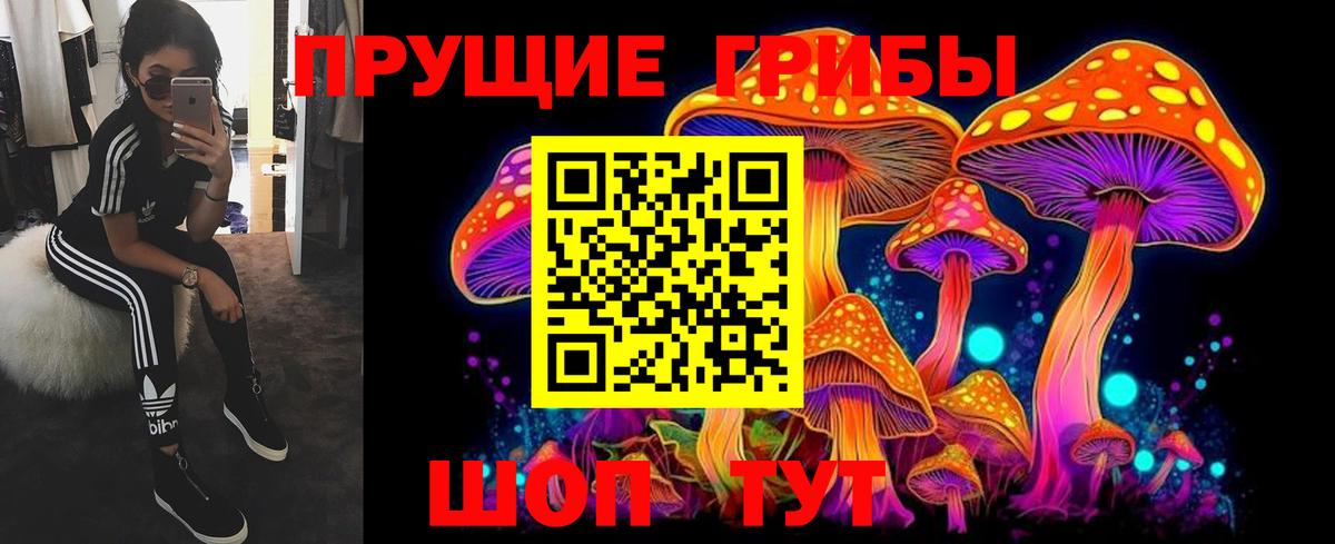купить  цена  Псилоцибиновые грибы MAGIC MUSHROOMS  Вход с VPN  Кизляр 