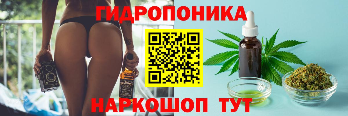Конопля OG Kush  Бошки Шишки сатива  Кизляр  МАРИХУАНА гибрид  Вход с VPN  Марихуана индика 